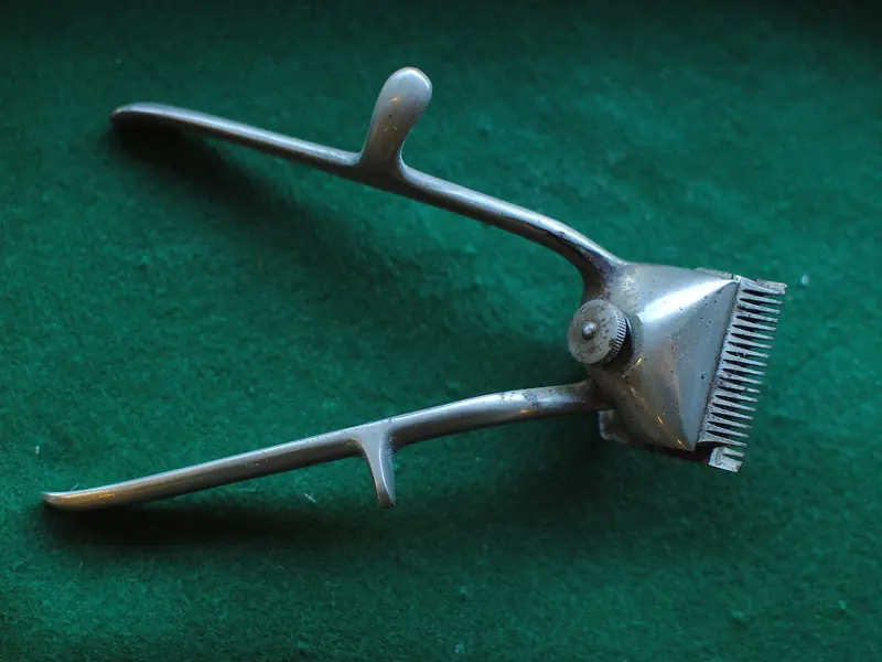 A pair of old steel hand clippers lying on green cloth.