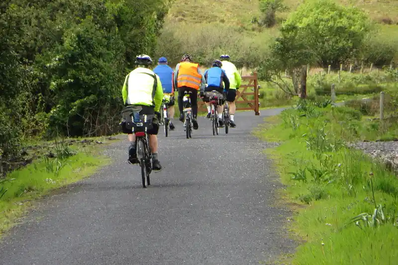 Four cyclists with panniers riding away along a tarmac path between hedges.