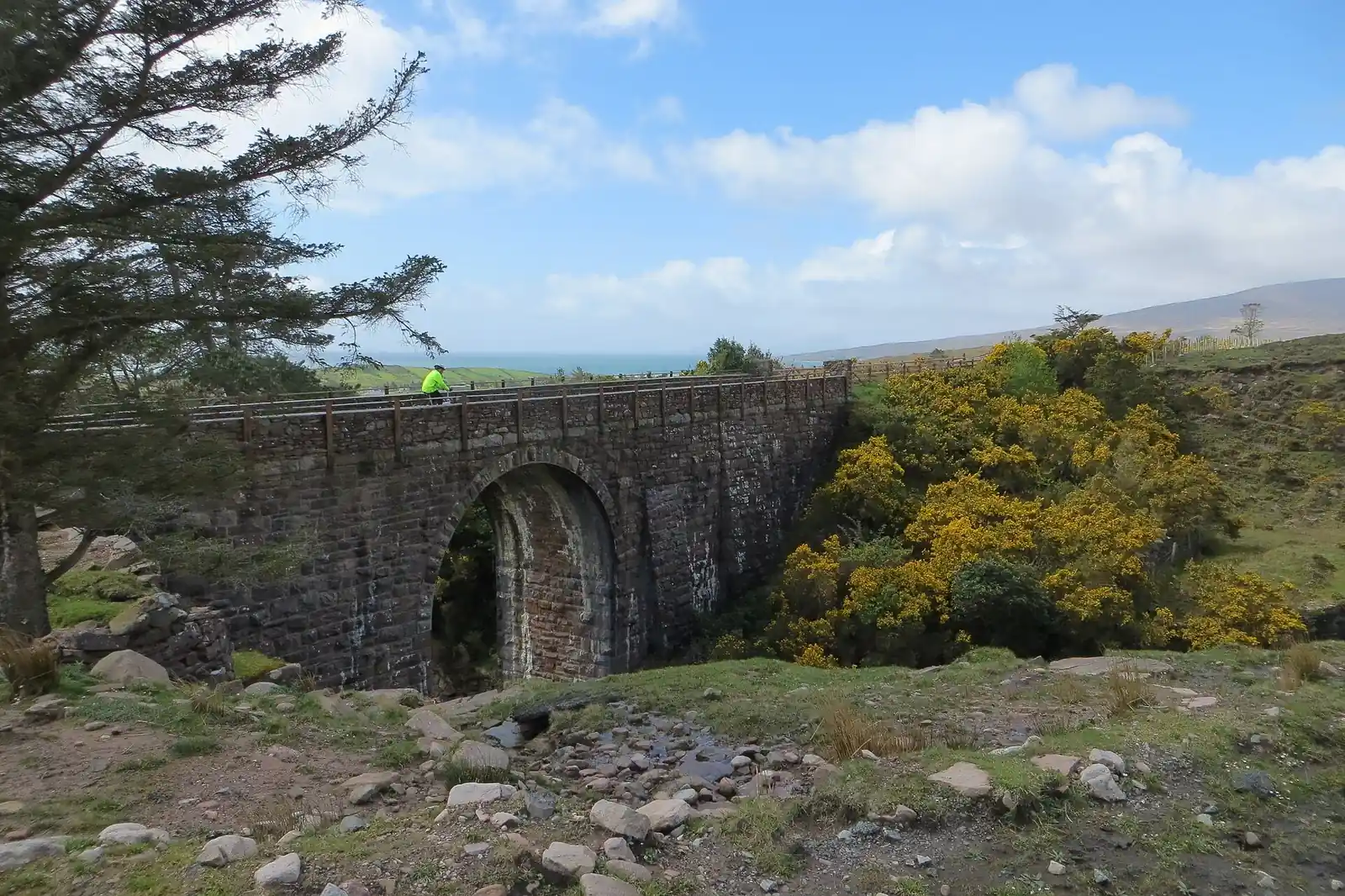 A stone arch railway bridge on the Great Western Greenway, with yellow gorse in flower and the sea beyond.