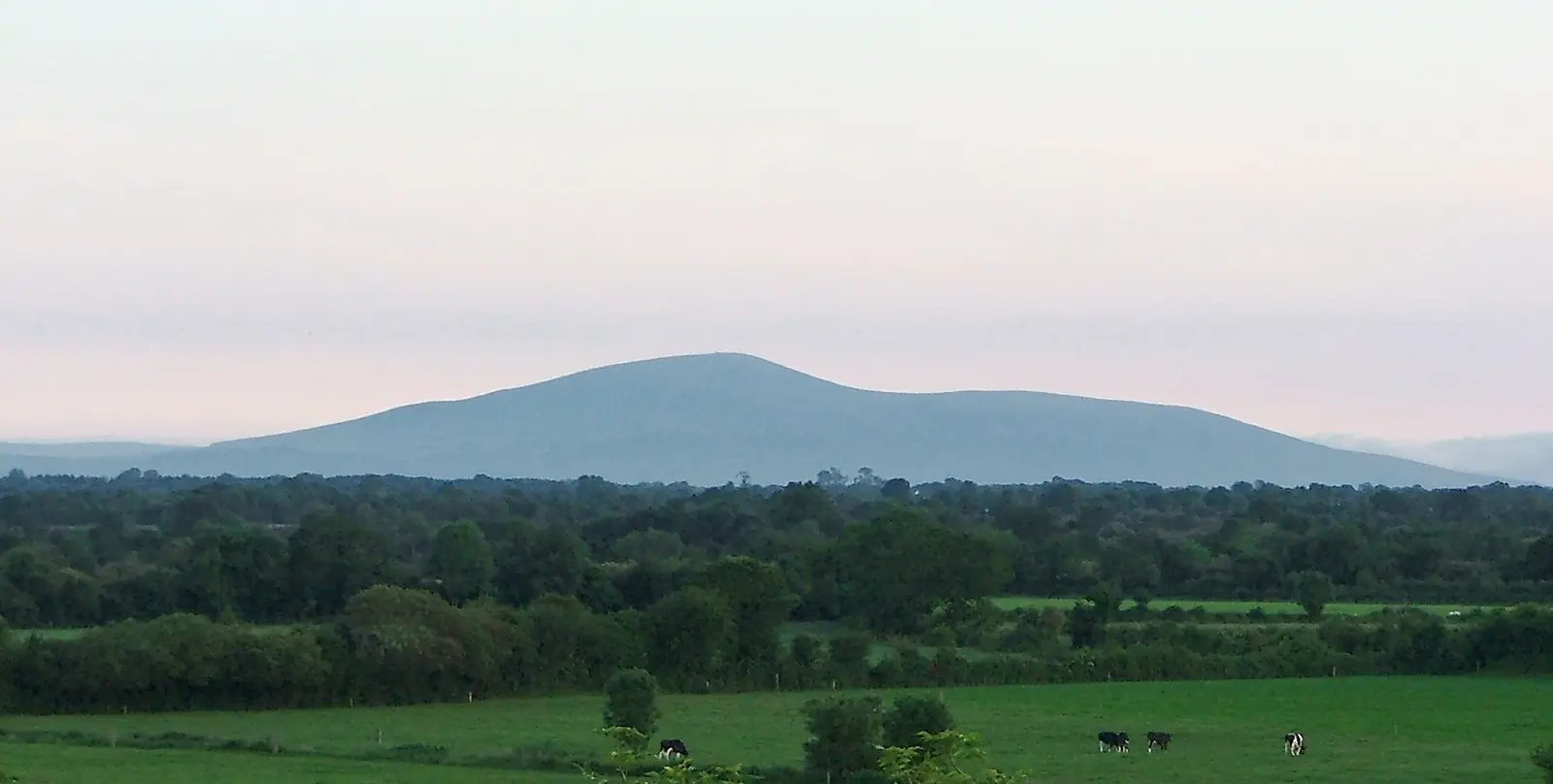 Slievenamon, a long blue-grey hill rising out of green Tipperary fields at dusk, with a few cows in the nearest field.